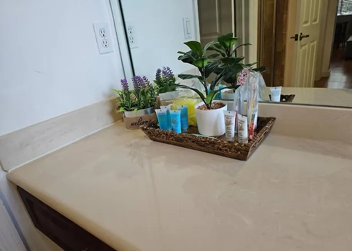 D&N Property Rental