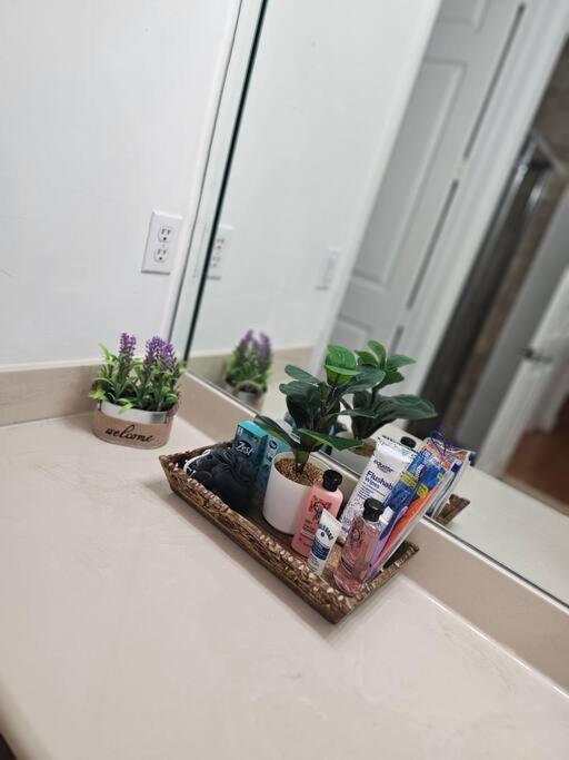 Apartamento D&n *